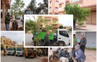 صور : عملية غرس الأشجار بشارع محمد الخامس بحي الأمل