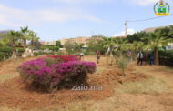 صور .. حملة تنظيف حديقة 20 غشت بزايو