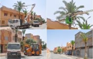 مصلحة النظافة والأغراس التابعة لجماعة زايو تقوم بعملية تقليم أشجار النخيل بشارع المسيرة الخضراء