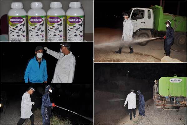 جماعة زايو تشرع في محاربة الناموس والحشرات