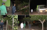 تواصل جماعة زايو حملات مكافحة الحشرات والبعوض والنواقل الضارة + صور
