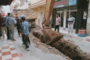 مصلحة النظافة والأغراس التابعة لجماعة زايو تقوم بعملية تقليم أشجار النخيل بشارع النصر