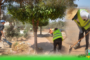 جماعة زايو تواصل عملية تشذيب الأشجار بشوارع وأزقة المدينة